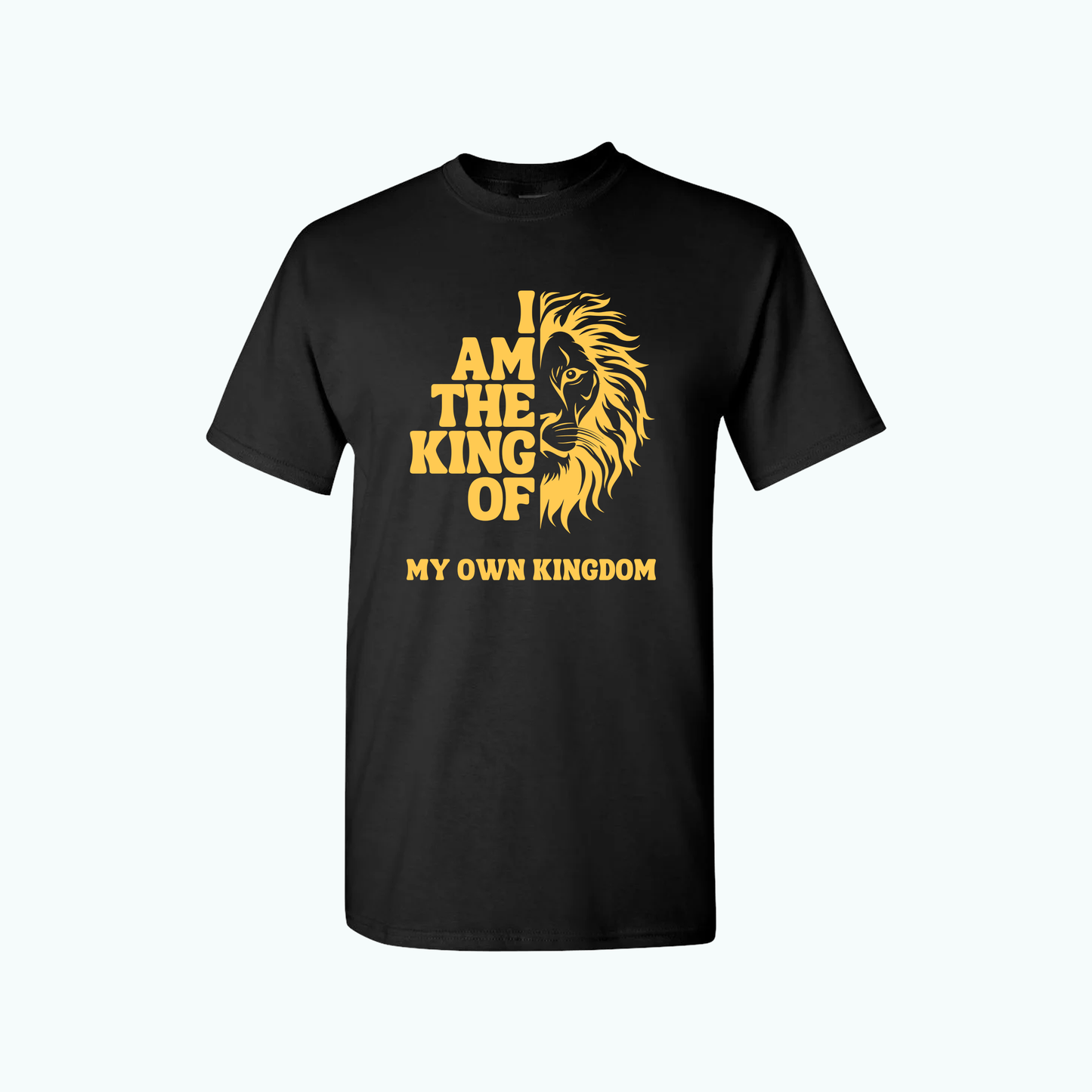 Rebira Regular Men T Shirts Black